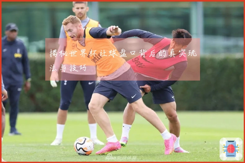 揭秘世界杯让球盘口背后的真实玩法与技巧