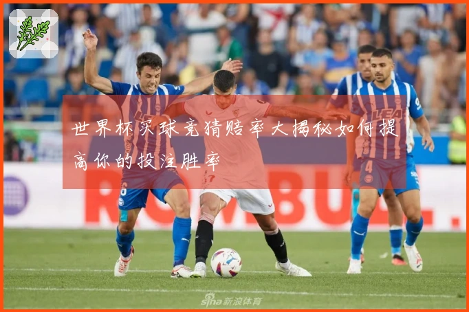 世界杯买球竞猜赔率大揭秘如何提高你的投注胜率