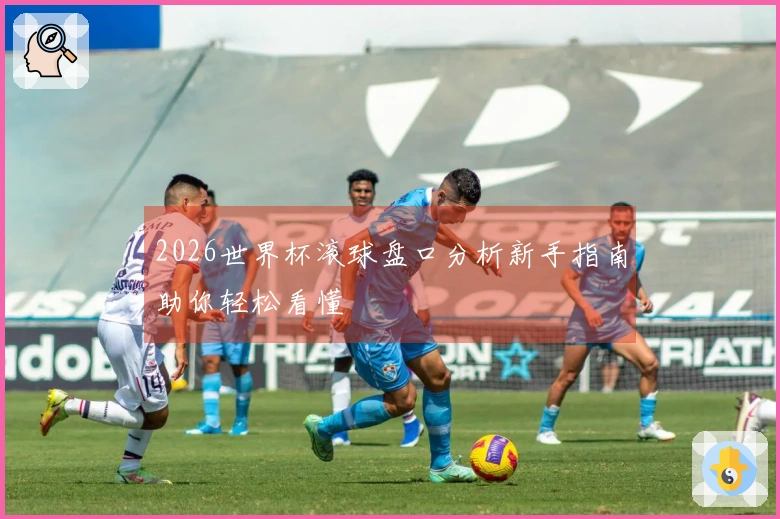 2026世界杯滚球盘口分析新手指南助你轻松看懂