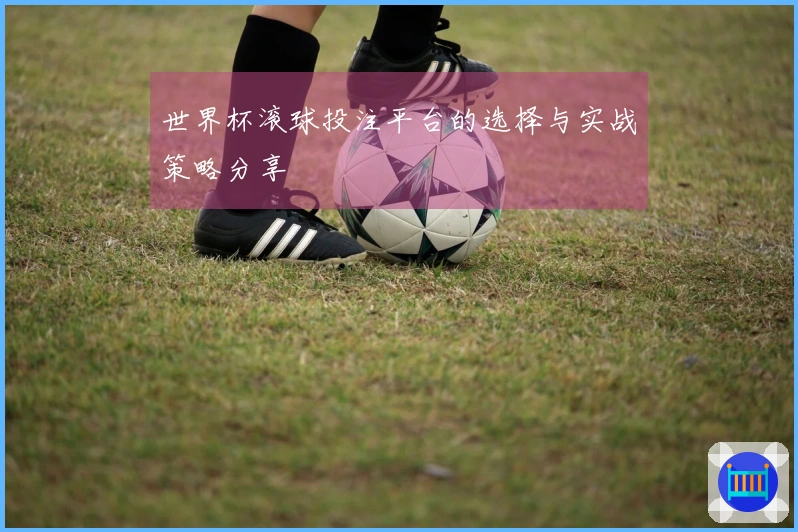 世界杯滚球投注平台的选择与实战策略分享