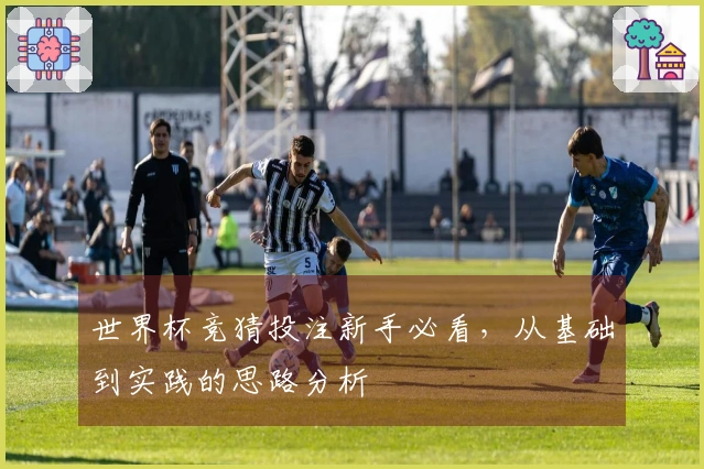 世界杯竞猜投注新手必看，从基础到实践的思路分析