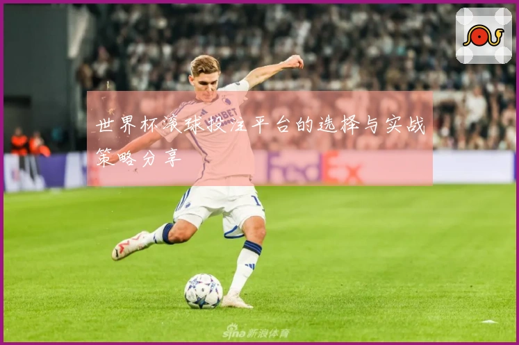 世界杯滚球投注平台的选择与实战策略分享