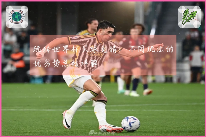 玩转世界杯买球竞猜，不同玩法的优劣势总结详解