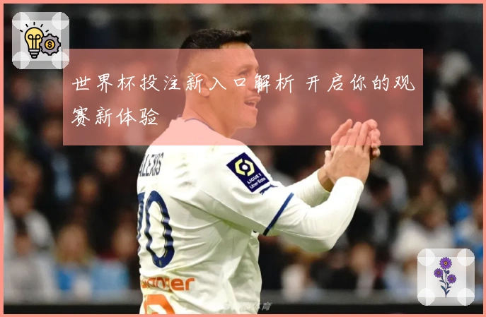 世界杯投注新入口解析 开启你的观赛新体验