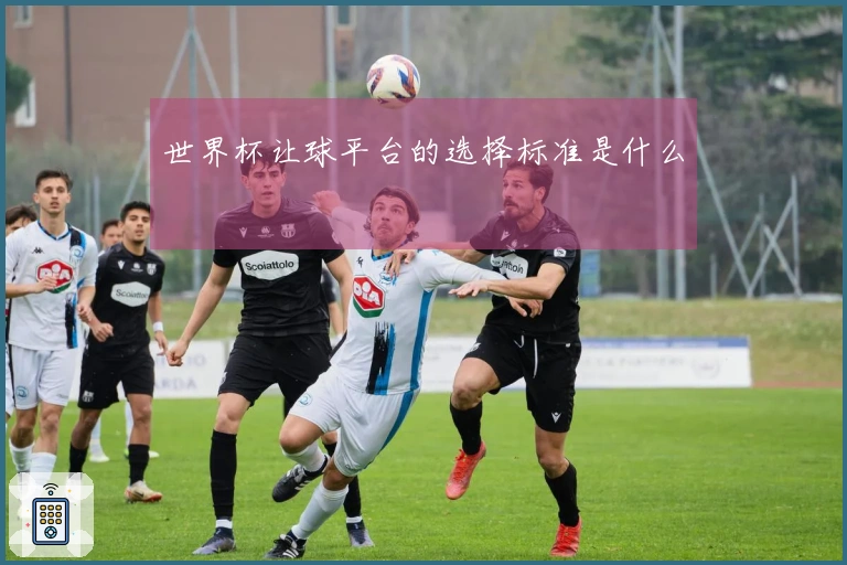 世界杯让球平台的选择标准是什么