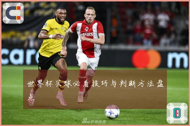 世界杯买球必看技巧与判断方法盘点
