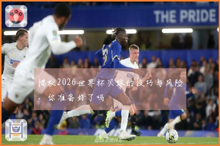 揭秘2026世界杯买球的技巧与风险，你准备好了吗