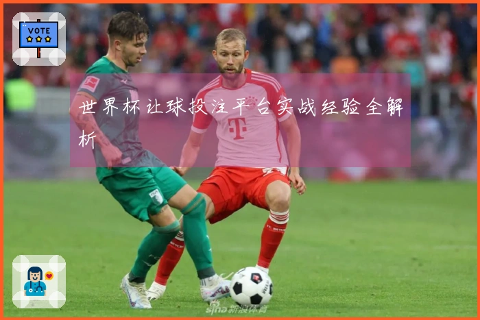 世界杯让球投注平台实战经验全解析