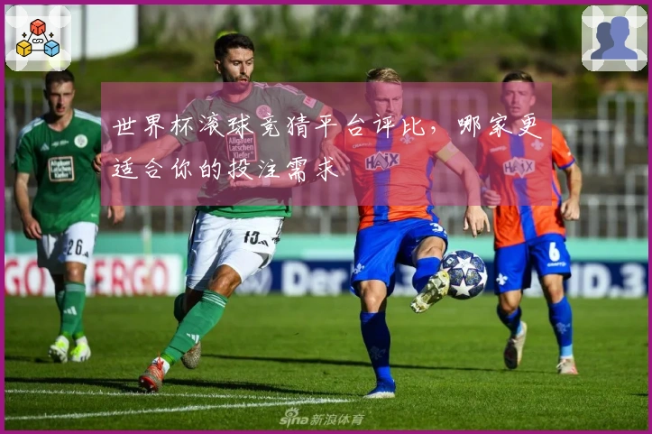 世界杯滚球竞猜平台评比，哪家更适合你的投注需求