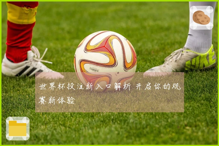世界杯投注新入口解析 开启你的观赛新体验