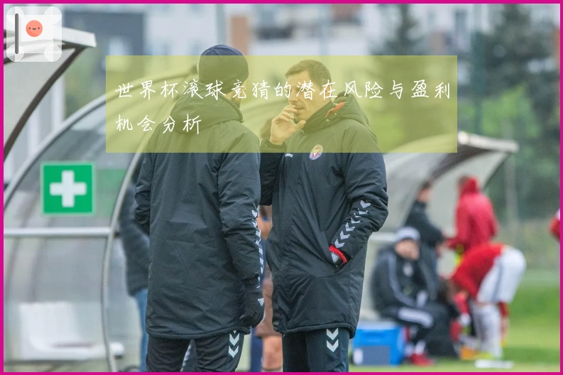 世界杯滚球竞猜的潜在风险与盈利机会分析