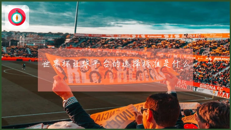 世界杯让球平台的选择标准是什么