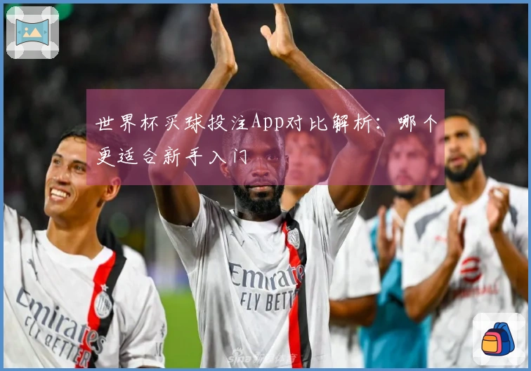 世界杯买球投注App对比解析：哪个更适合新手入门