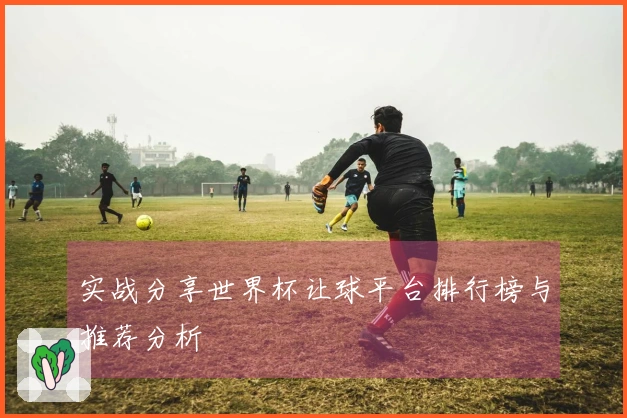 实战分享世界杯让球平台排行榜与推荐分析
